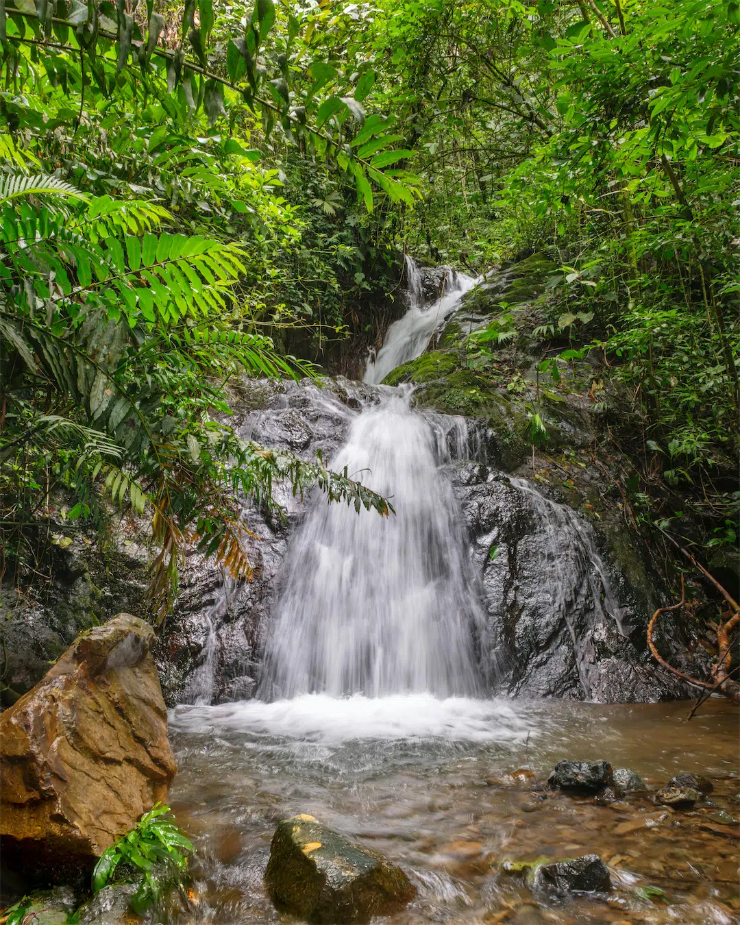 Jungle Adventure Package